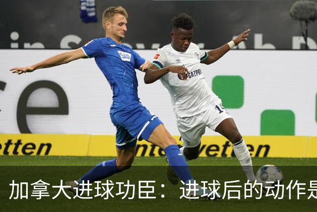 加拿大进球功臣：进球后的动作是给质疑我的媒体，他们可以闭嘴了
